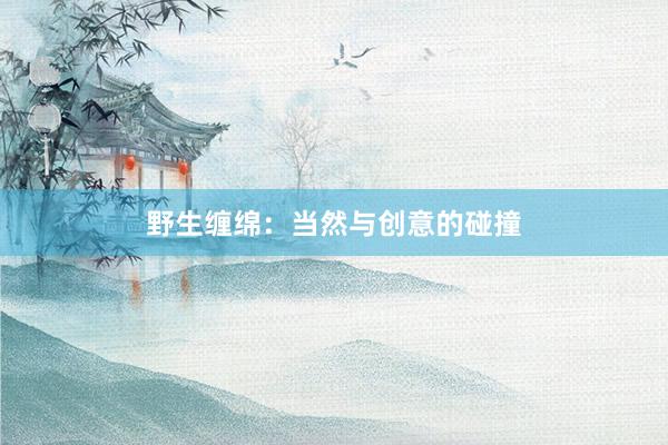 野生缠绵：当然与创意的碰撞